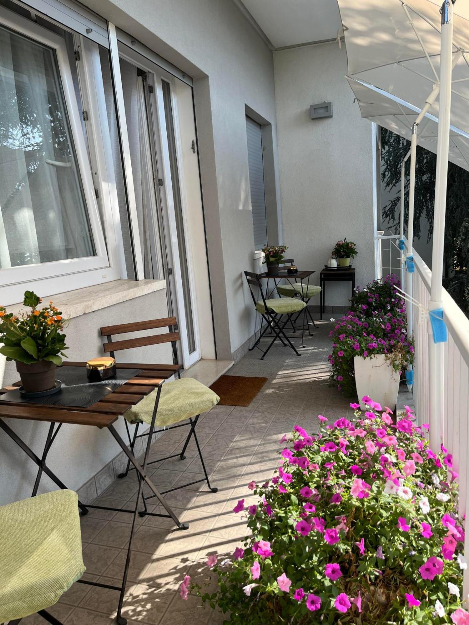 B&B Villa Due Giardini Padova Esterno foto
